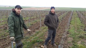 Thomas et Florent Collet du Domaine Collet à Fontaine Denis (Marne)