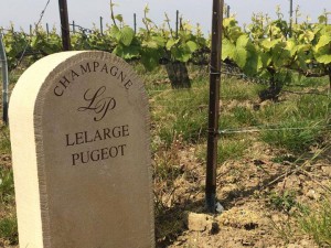Vignes Lelarge-Pugeot